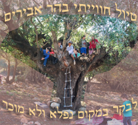 טיול חווייתי ביער אבירים